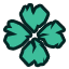 frtn_icon